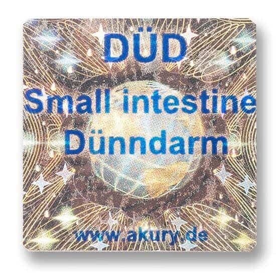 DÜD – Dünndarm
