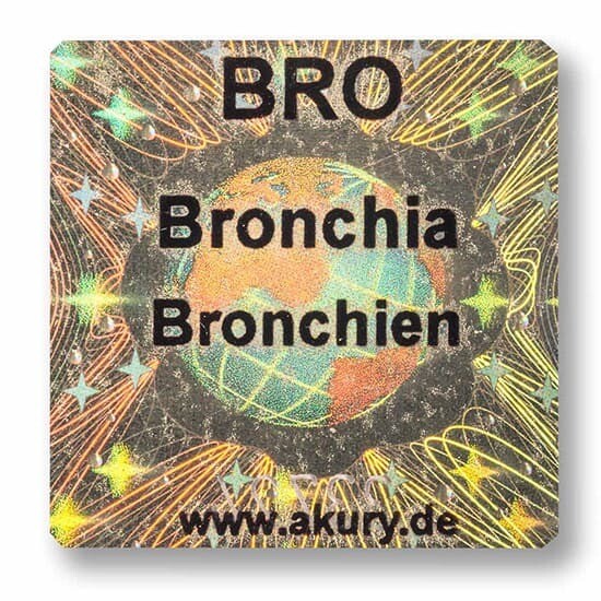 BRO Bronchien