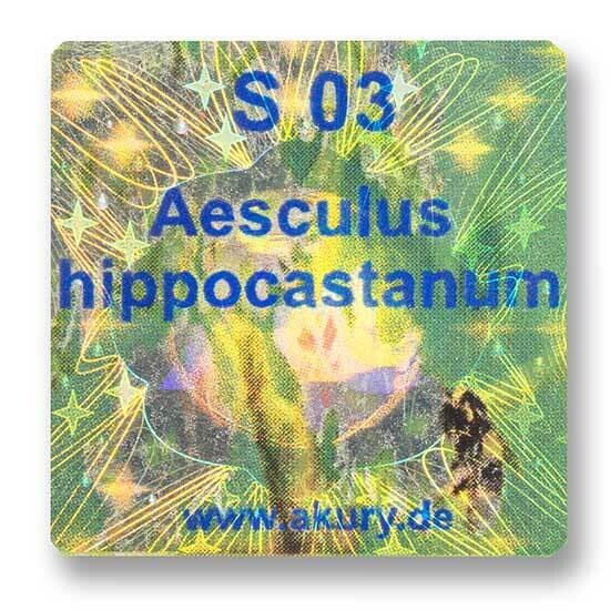 S 03 – Roßkastanie / Aesculus hippocastanum