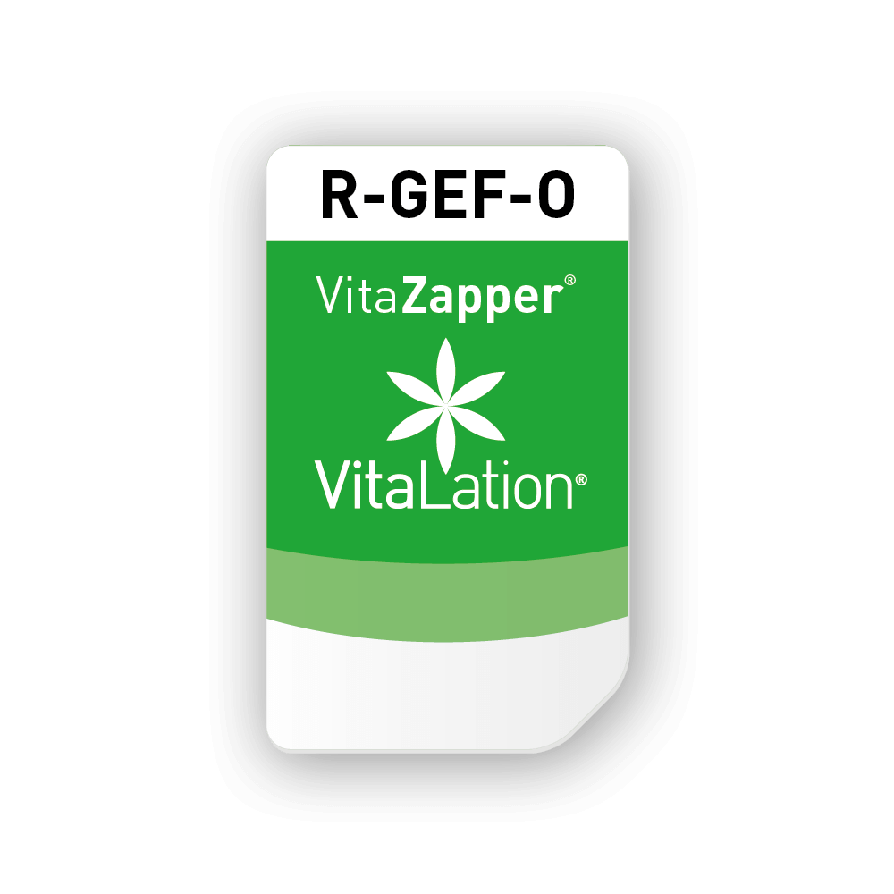 Chipkarte R-GEF-O Organkarte: Blutgefäße