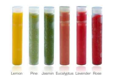 Vitaldusche Aromen
