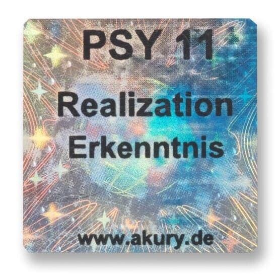 PSY 11 – Erkenntnis