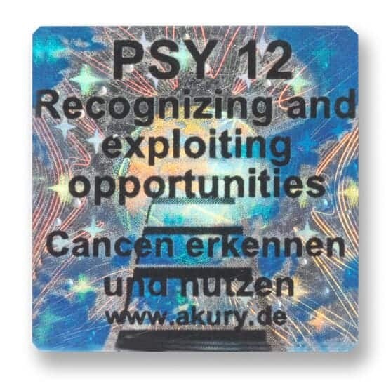 PSY 12 – Chancen erkennen, ergreifen und nutzen