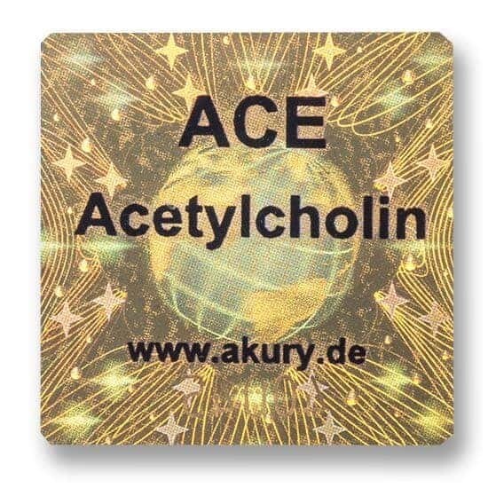 ACE – Acetylcholin