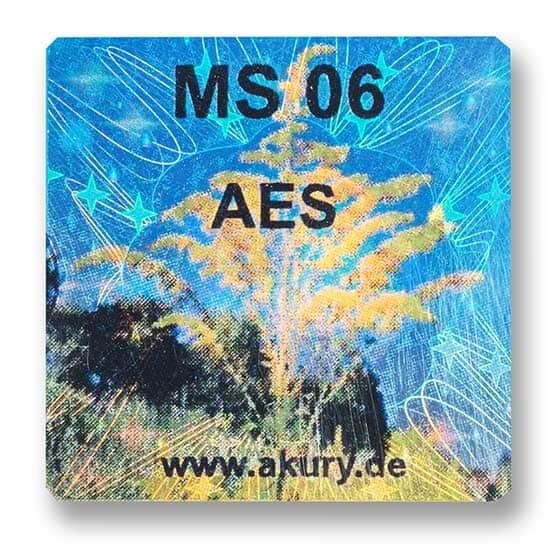 MS 06 – AES