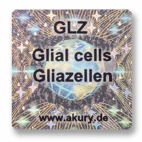 GLZ – Gliazellen