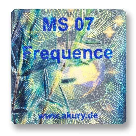 MS 07 – Frequence