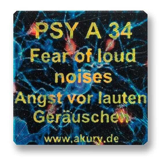 PSY A 34 – Angst vor lauten Geräuschen