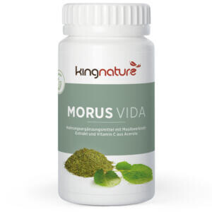 Morus Vida