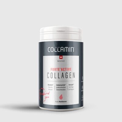 Collamin - pures Kollagen - Forte'Active