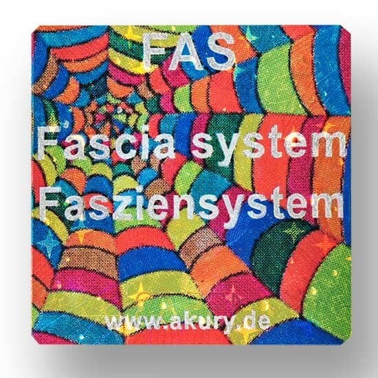FAS – Faszien, Fasziensystem