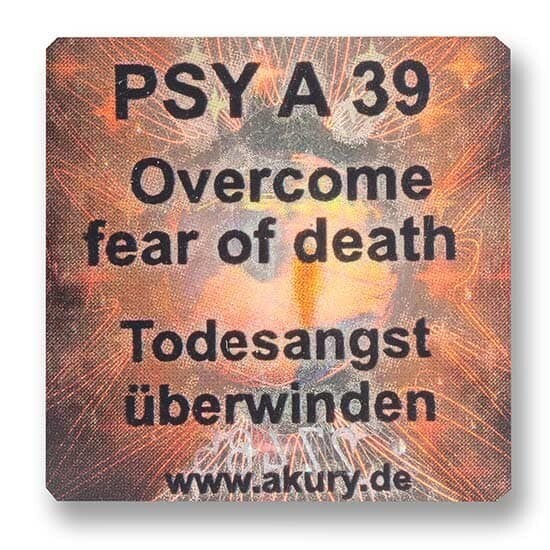 Chip &quot;PSY A 39 Todesangst überwinden&quot;
