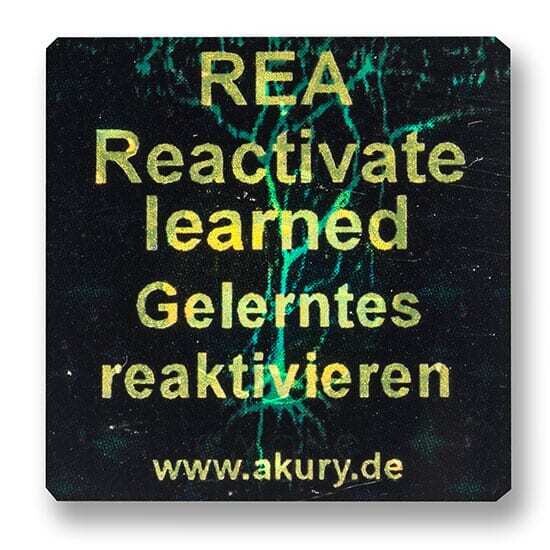 Chip &quot;REA – Erlerntes reaktivieren&quot;