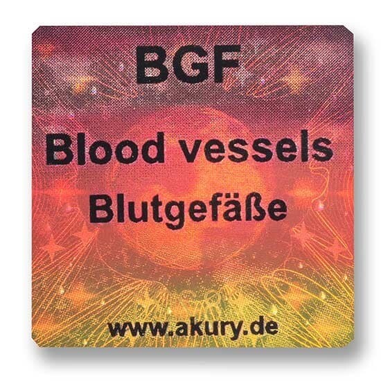 Chip &quot;BGF – Blutgefäße&quot;