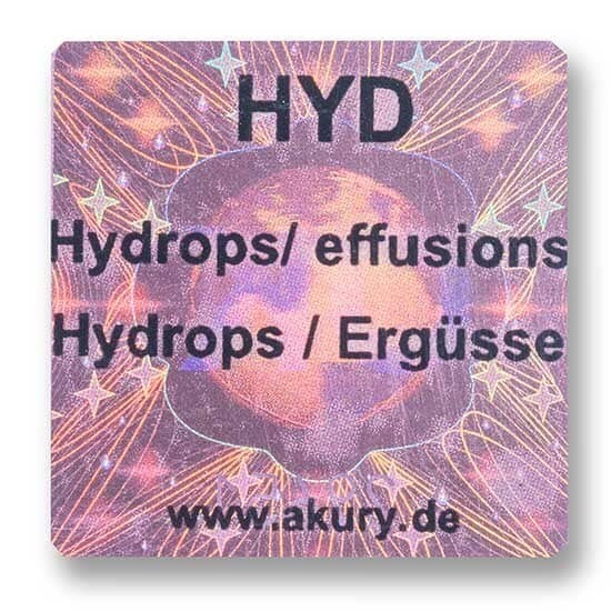 Chip &quot;HYD – Hydrops / Ergüsse&quot;