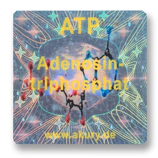 Chip &quot;ATP – Adenosintriphosphat&quot;