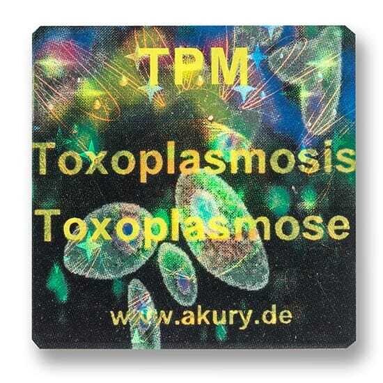 Chip &quot;TPM – Toxoplasmose&quot;