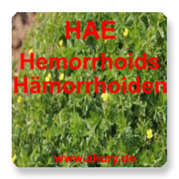 Chip &quot;HAE - Hämorrhoiden&quot;