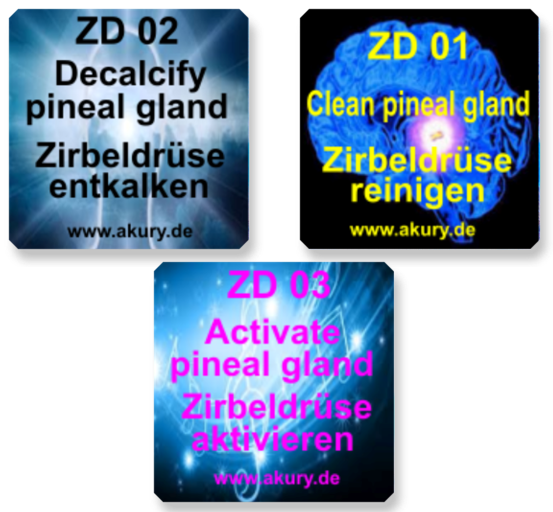 Chipset &quot;Zirbeldrüse reinigen, entkalken und aktivieren&quot;