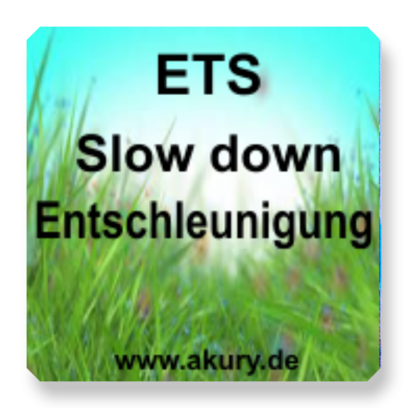 Chip &quot;ETS-Entschleunigung&quot;