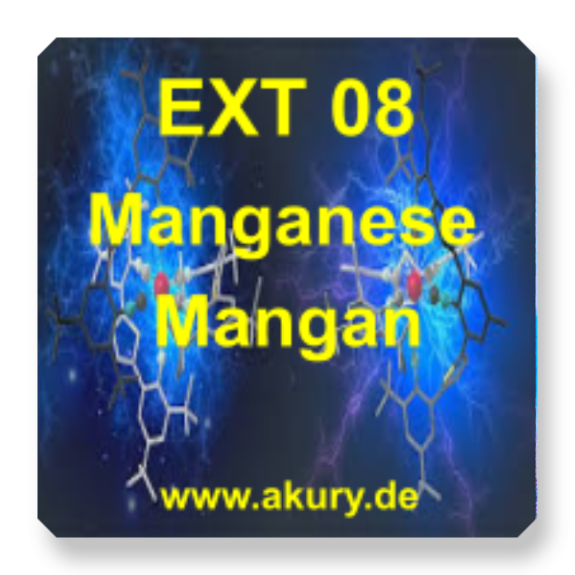 Chip &quot;EXT 08 Mangan&quot;