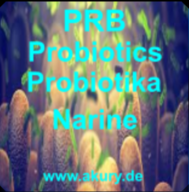 Chip &quot;Probiotika Narine&quot;