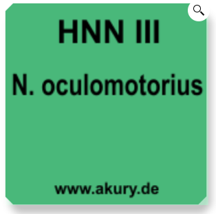 Chip &quot;HNN III N.oculomotorius&quot;