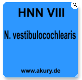 Chip &quot;HNN VIII Nervus vestibulocochlearis&quot;