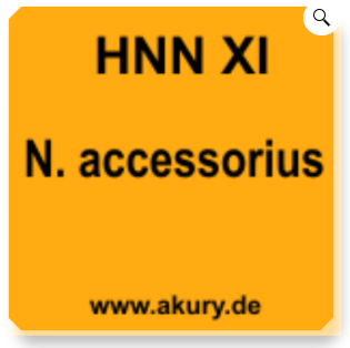 Chip &quot;HNN XI - Nervus accessorius&quot;