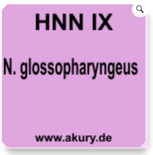 Chip &quot;HNN IX Nervus glossopharyngeus (Zungen-Rachen-Nerv)&quot;