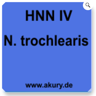 Chip &quot;HNN IV N.Trochlearis&quot;