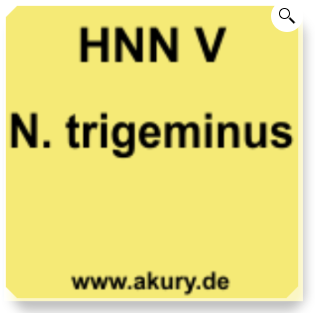 Chip &quot;HNN V Nervus trigeminus&quot;