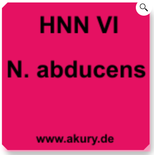Chip &quot;HNN VI  Nervus abducens&quot;