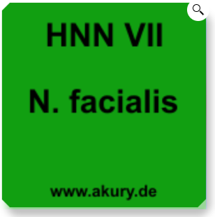 Chip &quot;HNN VII Nervus facialis&quot;