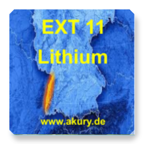 Chip &quot;EXT 11 = Lithium&quot;