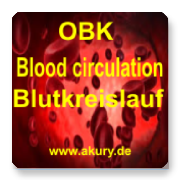 Chip &quot;OBK = Blutkreislauf&quot;