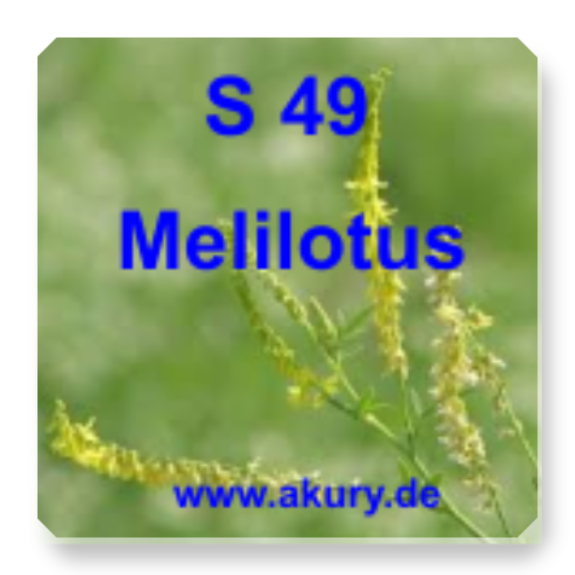 Chip &quot;S 49 Melilotus (Steinklee)&quot;