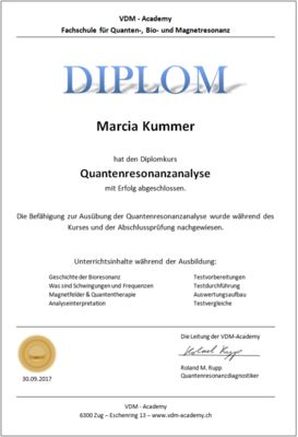 Onlinekurs "Quanten Resonanz Berater/in Fortsetzungskurs" Deutsch