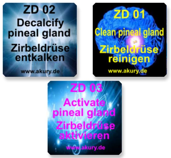 Chipset "Zirbeldrüse reinigen, entkalken und aktivieren"