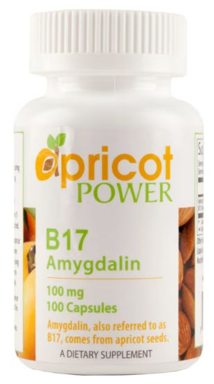 Vitamin B17 Amygdalin (Aprikosenkerne)