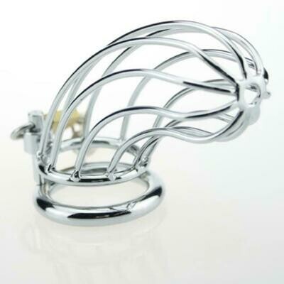 Stainless Steel Penis Ring Chastity Device