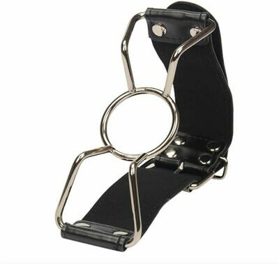 Stainless Steel Mouth Butterfly O-Ring Style Gag Harness