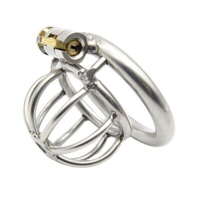 Stainless Steel Chastity Cage Stealth lock Curved Ring