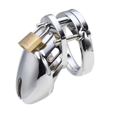 Insatiable Mister Metal Chastity Device | moodTime