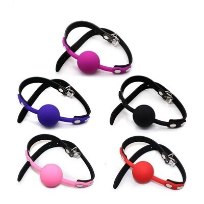 SM Silicone Ball Mouth Gag
