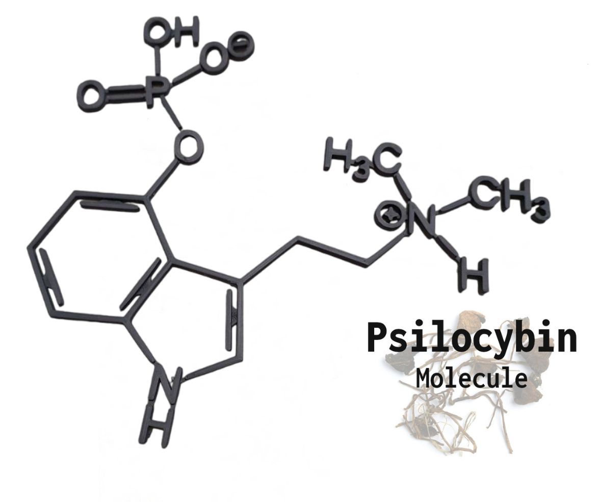 Psylocibin Molecule Wall Art