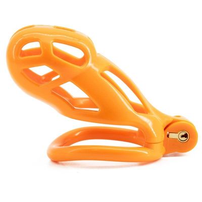 Chastity