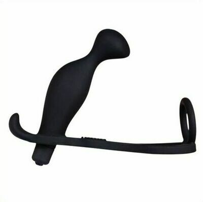 Cock Ring and Anal Prostate Massager Combo