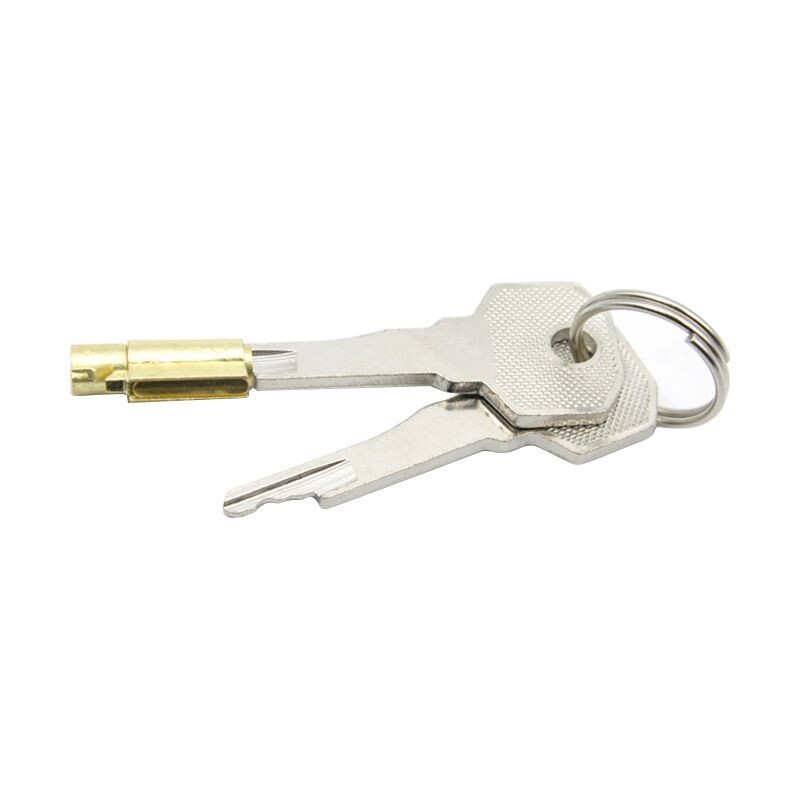 Chastity Cage Replacement Lock With 2 Keys