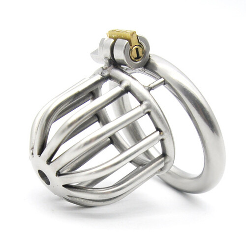 Asylum Male Chastity Stainless Steel Cage, Size: 50mm
